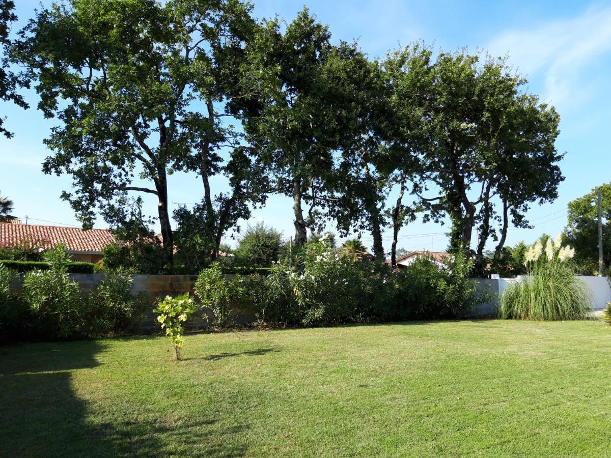 Agreable Maison Sur Le Bassin D'Arcachon Andernos-les-Bains Exterior foto