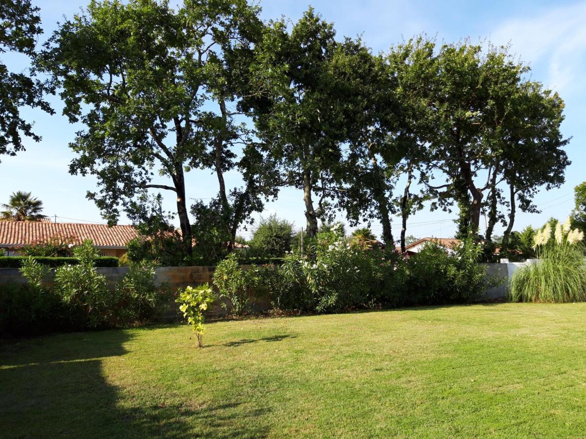 Agreable Maison Sur Le Bassin D'Arcachon Andernos-les-Bains Exterior foto
